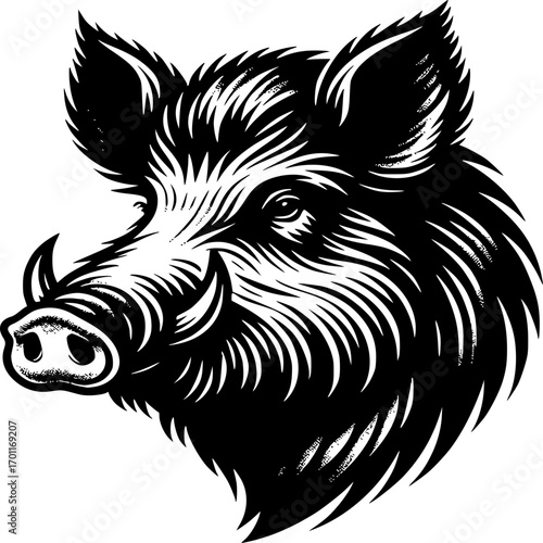 Intense Boar Portrait: A stark black-and-white image of a formidable boar head, its tusks and focused gaze conveying raw power and untamed spirit.