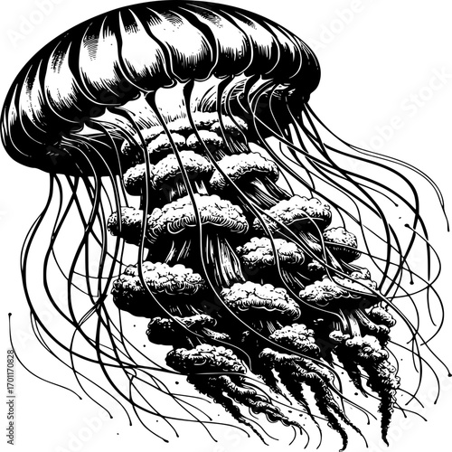 Mysterious Sea Bloom: An intriguing illustration of a jellyfish, showcasing its captivating, ethereal form with delicate tendrils gracefully flowing.