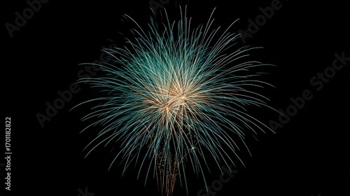 A burst of teal and gold fireworks explodes in the dark night sky, creating a beautiful display of light and color for celebration and enjoyment.