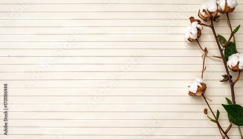 White Cotton Branch on Weathered White Wood Background