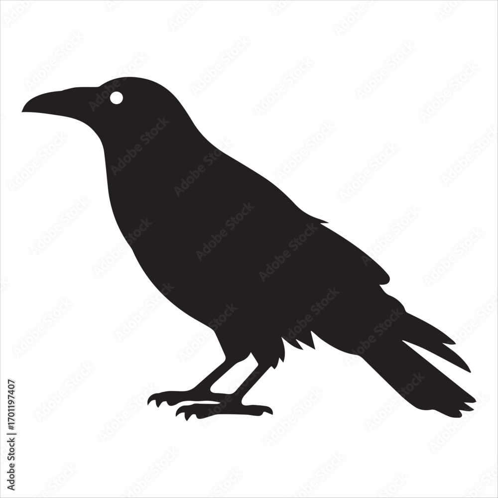 Fototapeta premium Black Silhouette of a Raven Bird Profile on White Background