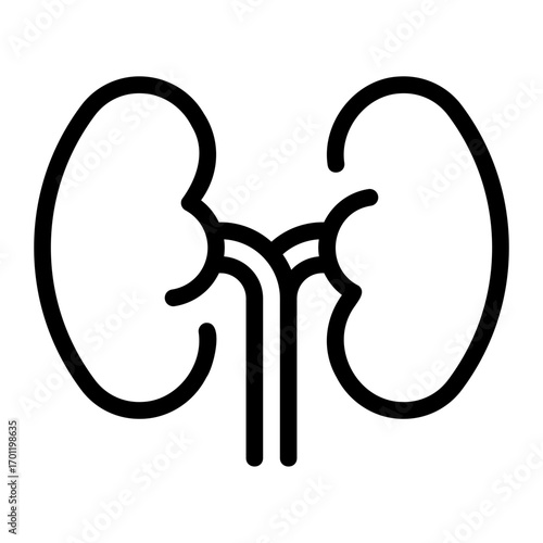 kidneys line icon