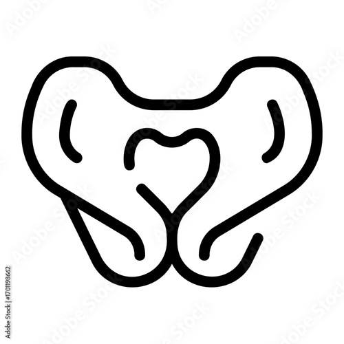 pelvis line icon