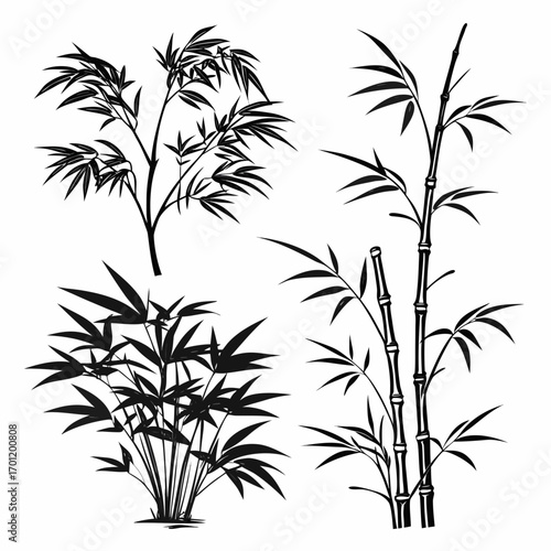 Collection of stylized black bamboo silhouettes on a white background showcasing different growth patterns and leaf arrangements for artistic and decorative purposes