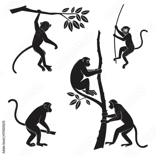 Collection of black silhouette monkeys in various dynamic poses climbing trees and branches illustrating playful jungle wildlife and primate behavior in a stylized graphic art style