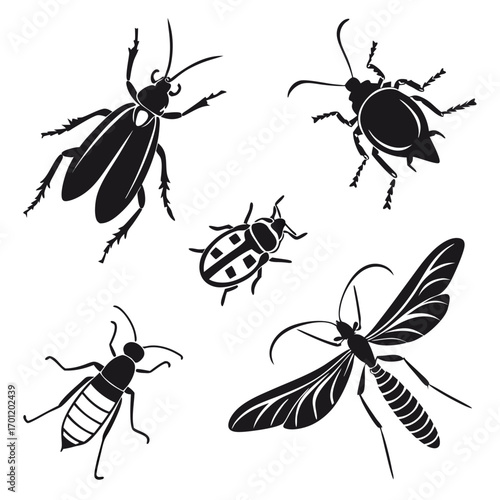 A collection of black silhouettes of various insects including beetles a ladybug a wasp and a mosquito against a white background