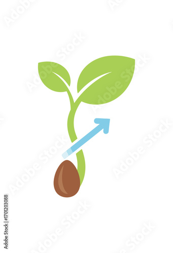 Seed germination process illustration