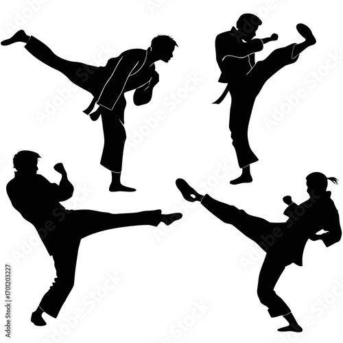 Silhouettes of four martial artists performing dynamic kicks and punches in a karate stance against a white background illustrating combat training and discipline