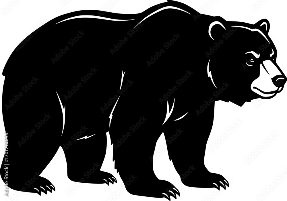 Fototapeta premium California Bear art vector illustration 