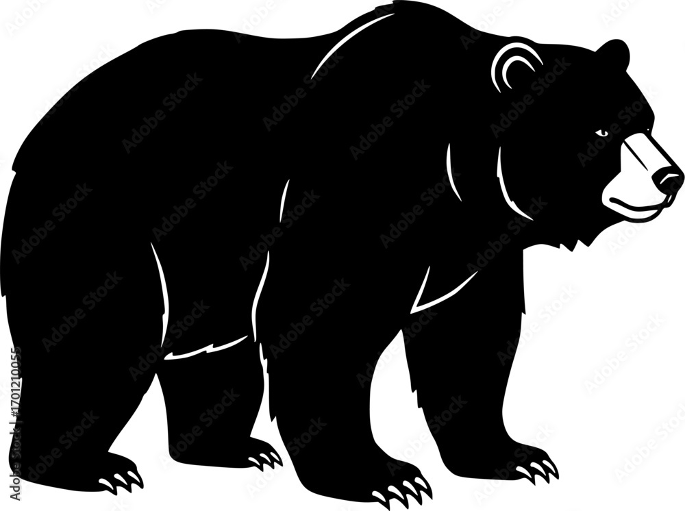 Obraz premium California Bear art vector illustration 