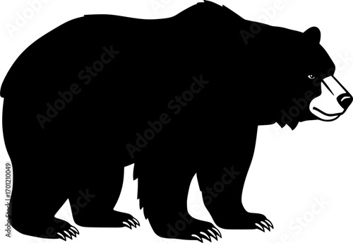 California Bear art vector illustration
