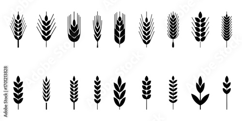 Collection of stylized wheat and grain stalk icons. wheat ears isolated on white