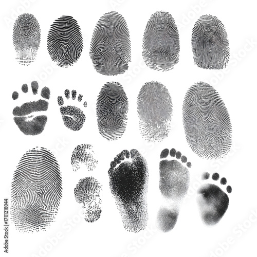 Collection of black ink fingerprints and footprints on white background.