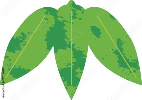 手描き風の笹の葉イラスト。和風デザインやお正月素材に