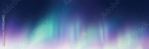 Polar lights, aurora borealis, starry sky, northern landscapes, vector illustration
