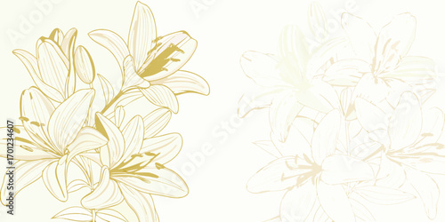Elegant gold line art of lily flowers in bloom against a soft cream background