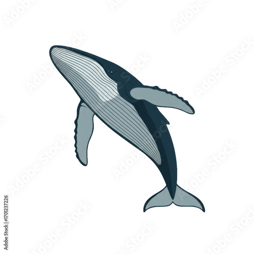 Flat Design Illustration of a Humpback Whale Swimming in Calm Ocean Water