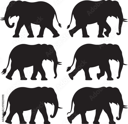 Six Black Elephant Silhouettes Walking on White Background elephants African elephant
