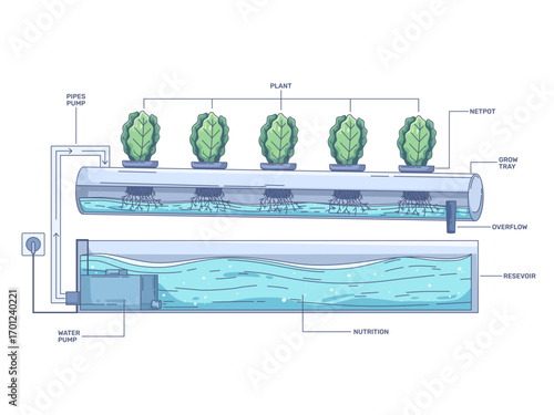 Nutrient Film Technique (NFT) hydroponic system, showcasing a modern soil-free farming setup. Includes key components such as leafy green plants, net pots, grow tray, water pump, reservoir, etc