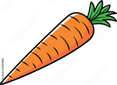Single realistic carrot illustration design. Fresh orange carrot isolated artwork. Realistic vegetable carrot food design. Organic carrot healthy food illustration. Carrot vegetable farm fresh artwork