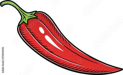 Single realistic chili pepper illustration. Fresh red chili pepper isolated artwork. Realistic spicy chili food design. Chili pepper vegetable cooking ingredient. Hot red chili realistic illustration