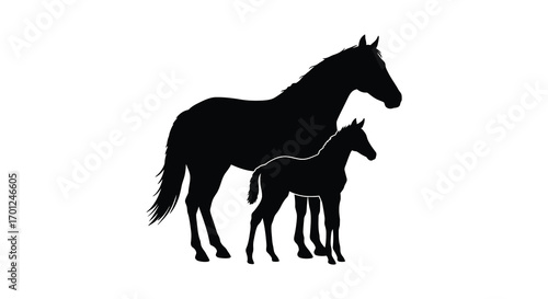 a mother horse and foal standing close together