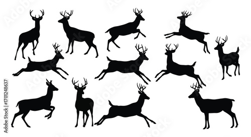 various deer silhouettes in different poses and movements