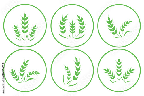 Wheat spikes, barley sheaf with grain set in circle. Ear of Wheat, Barley or Rye. Vector icon isolated on white background. Agriculture wheat Logo Template vector icon design.