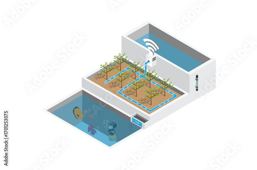 Isometric how aquaponics system work isolated white background