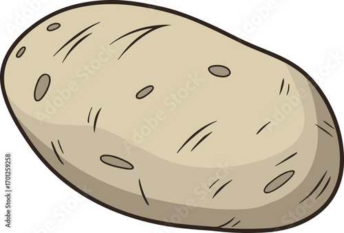 Single realistic potato vegetable illustration. Fresh potato isolated farm produce artwork. Realistic potato root vegetable design. Potato vegetable healthy food illustration. Organic potato realistic