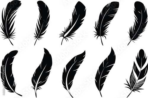 Elegant black feather silhouettes arranged on a white background for artistic design elements 
