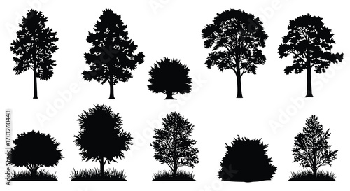 various tree silhouettes displayed in rows and columns