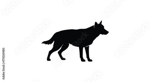 a silhouette of a dog standing alertly