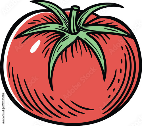 Single realistic tomato fruit illustration. Fresh red tomato isolated artwork. Realistic tomato vegetable food design. Tomato fruit healthy nutrition illustration. Organic tomato realistic farm art