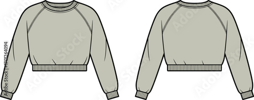 Women’s cropped sweatshirt front and back view, cad drawing flat vector illustration, fashion clothing template, casual wear design, apparel sketch