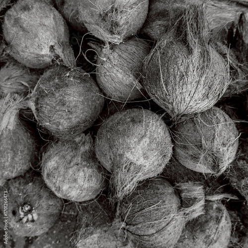 A close-up shot of coconuts in black and white