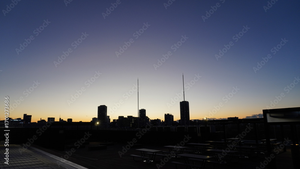 Naklejka premium Tokyo Cityscape Silhouette at Dusk