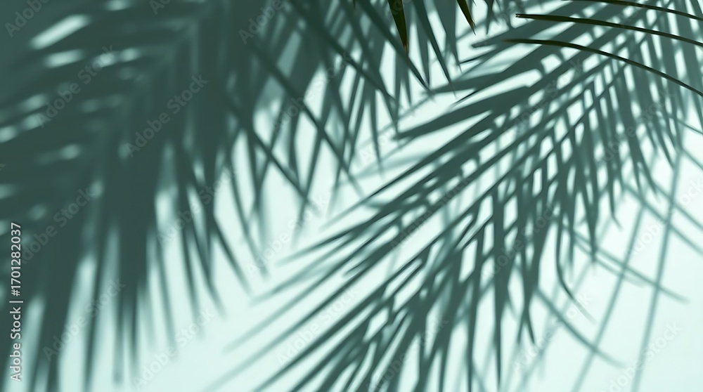 Fototapeta premium Palm leaves shadow on a white wall background. Tropical summer background.