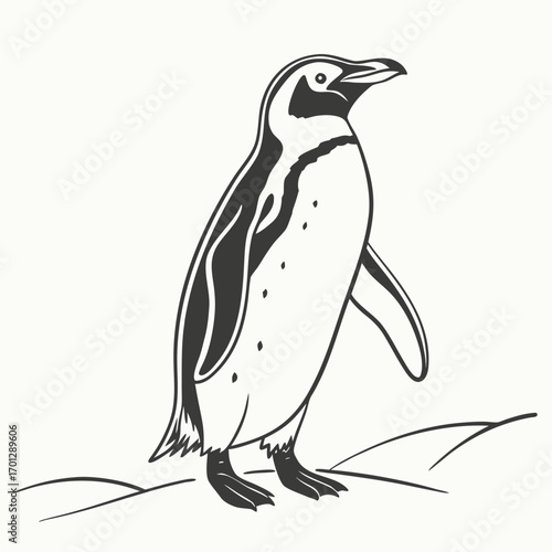 Stylized black and white illustration of a magellanic penguin standing on a simple ground line