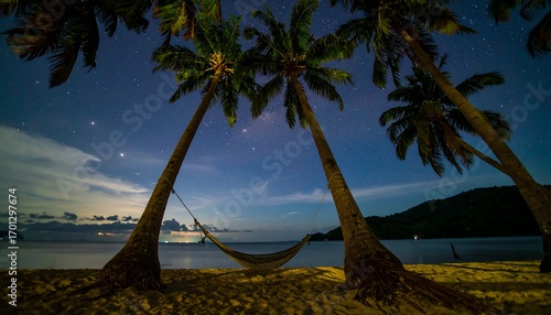 Tropical night scene with hammock