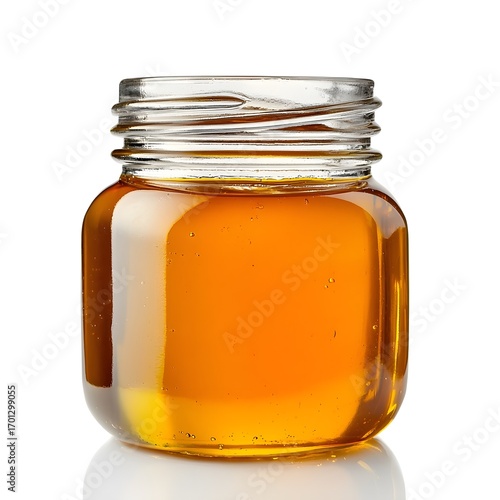 Exploring the intricacies of nature's biodiversity global rainforests visual guide ecological environment scientific perspective conservation efforts