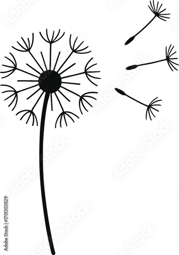 vector silhouette, dandelion seed head with a few seeds blowing off, thin stem, solid black