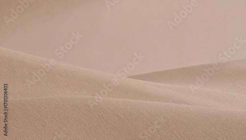 Fototapeta Naklejka Na Ścianę i Meble -  Neutral Tone Sand Dunes Landscape