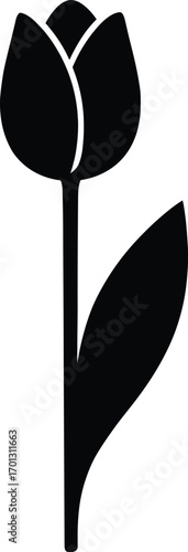  vector silhouette, tulip upright on single stem with broad leaf, solid black