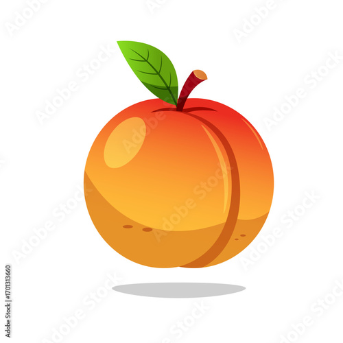 Single apricot fruit vector isolated on white background.