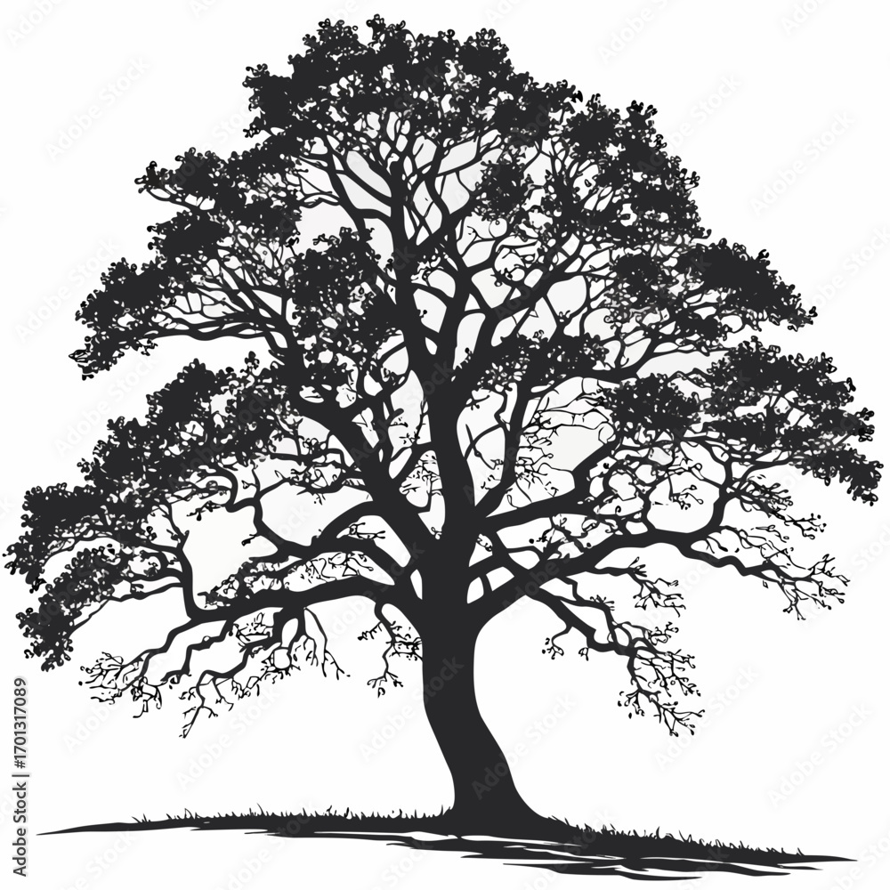 Obraz premium Vector Tree Illustration 