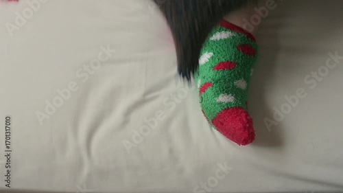 Feet wearing festive themed socks featuring green and red patterns covering with seasonal blanket, perfectly capturing the warmth and coziness of the holiday season.