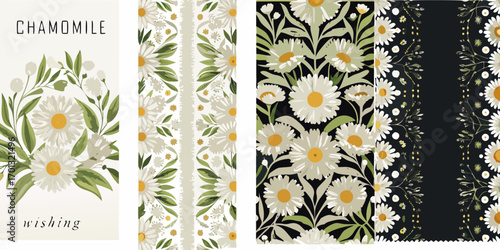 Delicate chamomile floral patterns and bouquet illustration with wishing text