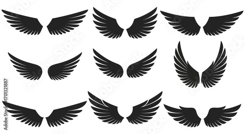 various wing designs displayed in a grid formation
