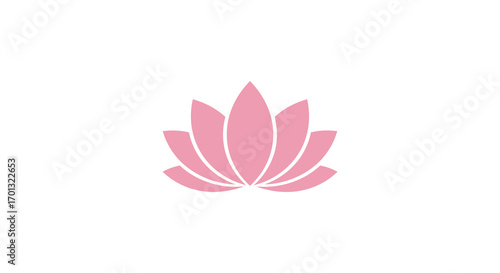 a delicate pink lotus flower blooming softly against white background